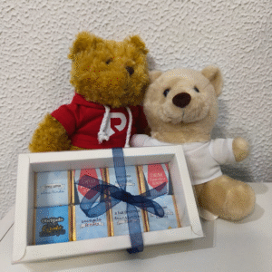 peluche e chocolates